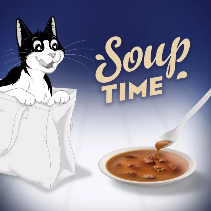 PURINA FELIX Sopa Original Country Flavours 6x48g Comida Húmida para Gatos