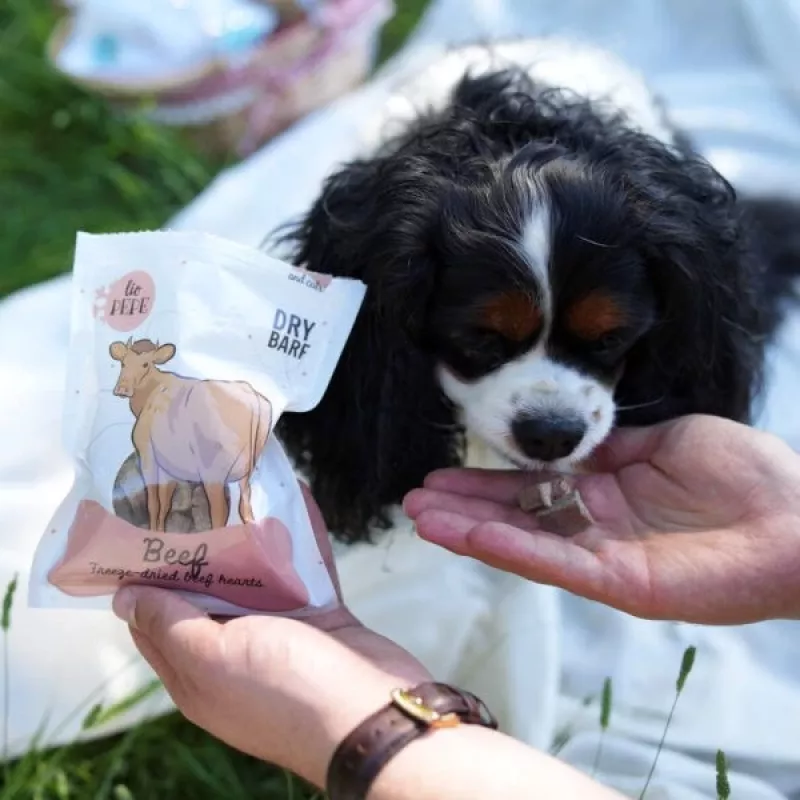 PZW Paka Zwierzaka Lio Pepe Corações de vaca liofilizados Petisco para cães e gatos 60g