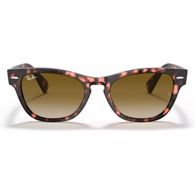 Ray-Ban Frank Square Óculos de sol RB2201 133451 54/17/145 mm