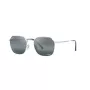 Óculos de sol Ray-Ban New Round RB36949242G65 53/18/145 mm Polished Black Grey Gradient