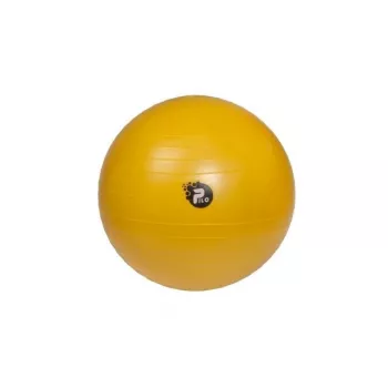 Bola de Reabilitação REHA FUND PILO-1045 ABS 65 cm Prateado/Cinzento