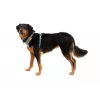 Arnês Ruffwear Front Range XS - River Rock Green