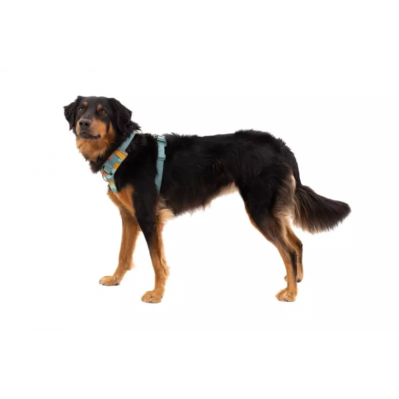 Arnês Ruffwear Front Range XS - River Rock Green