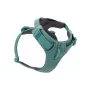 Arnês Ruffwear Front Range XS - River Rock Green