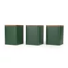Salter BW12898G Toronto Conjunto de 3 recipientes de armazenamento, verde