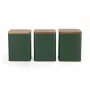 Salter BW12898G Toronto Conjunto de 3 recipientes de armazenamento, verde