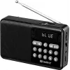 Altifalante Bluetooth portátil SANDBERG Speaker Radio FM+BT Recharge com rádio FM, AUX, USB, MicroSD, 6W, preto