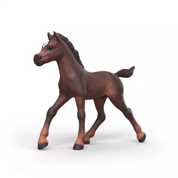 Potro colecionável Schleich Horse Club Ravi