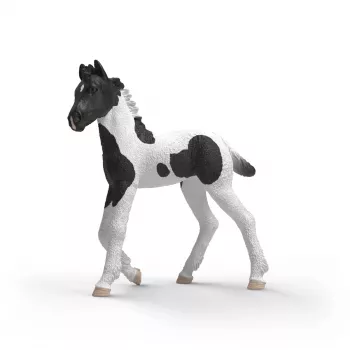 Potro colecionável Rocky Schleich Horse Club