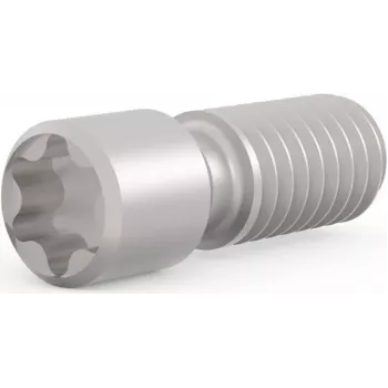SCHROFF perno roscado M2,5 x 9 mm Torx T8, aço, 100 unidades (21102980)