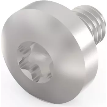 SCHROFF parafuso TORX M4x6 E/PRO (100 unidades/kit) - parafuso de máquina de cabeça chata, aço zincado, acionamento T20 para montagem eletrónica 24560135