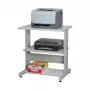 SECOMP Roline Suporte para impressora com rodas, cinzento/branco/cinzento-claro, 2 prateleiras, 500x400x600 mm 17.01.1089