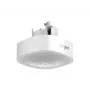 Sengled Pulse Wave MasterCeiling