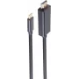 Cabo SHIVERPEAKS BASIC-S USB-C para DisplayPort 1m 8K60Hz preto (BS10-61045)