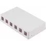 SHIVERPEAKS Caixa de superfície Keystone, 6 portas, branco (BS08-10118)