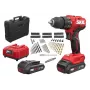 Berbequim aparafusador com bateria SKIL 3021HC 20V 2X2AH