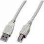 Wirewin cabo USB 2.0 A para B 1,5m cinzento USB A-B MM 1.5 GR