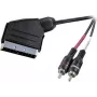 SpeaKa Professional SP-7870676 cabo de áudio 2 m SCART para 2 x RCA preto