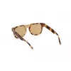 Óculos de sol de homem WEB EYEWEAR WE0315-0041F (lente/ponte/haste) 00/0/145 mm