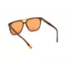 Óculos de sol WEB EYEWEAR unissexo WE0263-5956J quadrados armação de acetato Havana lentes de policarbonato verdes 59/13/145 mm UV400