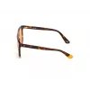 Óculos de sol WEB EYEWEAR unissexo WE0263-5956J quadrados armação de acetato Havana lentes de policarbonato verdes 59/13/145 mm UV400