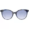 Óculos de sol WEB EYEWEAR Mulher WE0277-5255W Olho de gato Havana Castanho 52/19/140 mm