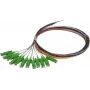 SYNERGY21 S215560 Conjunto de cabos de rede de fibra ótica 2 m OS2 E-2000 (LSH) multicolor pack de 12