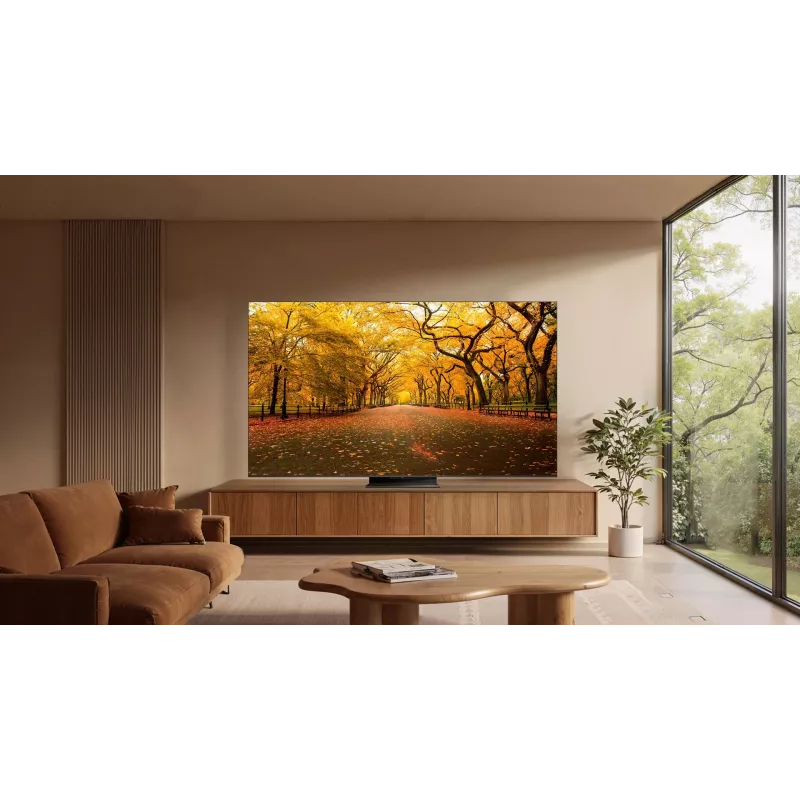 TCL 65C8L TV Smart 65