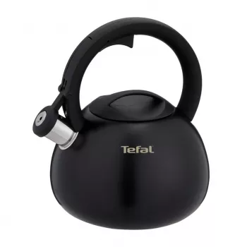 Chaleira elétrica Tefal N4180410 Express Control em aço inoxidável, 2,5 L, indução, prateado/preto