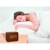 TFA 60.2549.08 CLOCCO Despertador com rádio Aspeto madeira Castanho