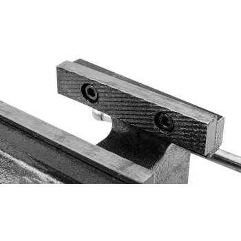 Torno de serralheiro TOPEX 100 mm, base giratória, ferro fundido cinzento