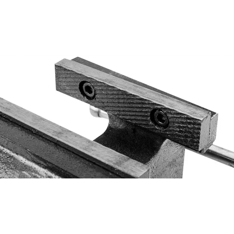 Torno de serralheiro TOPEX 100 mm, base giratória, ferro fundido cinzento