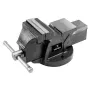 Torno de serralheiro TOPEX 100 mm, base giratória, ferro fundido cinzento