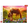 Puzzle TREFL 500 - Cavalos no prado