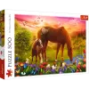 Puzzle TREFL 500 - Cavalos no prado