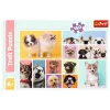 Puzzle TREFL 160 Dog Friendship Trefl 15412