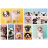 Puzzle TREFL 160 Dog Friendship Trefl 15412