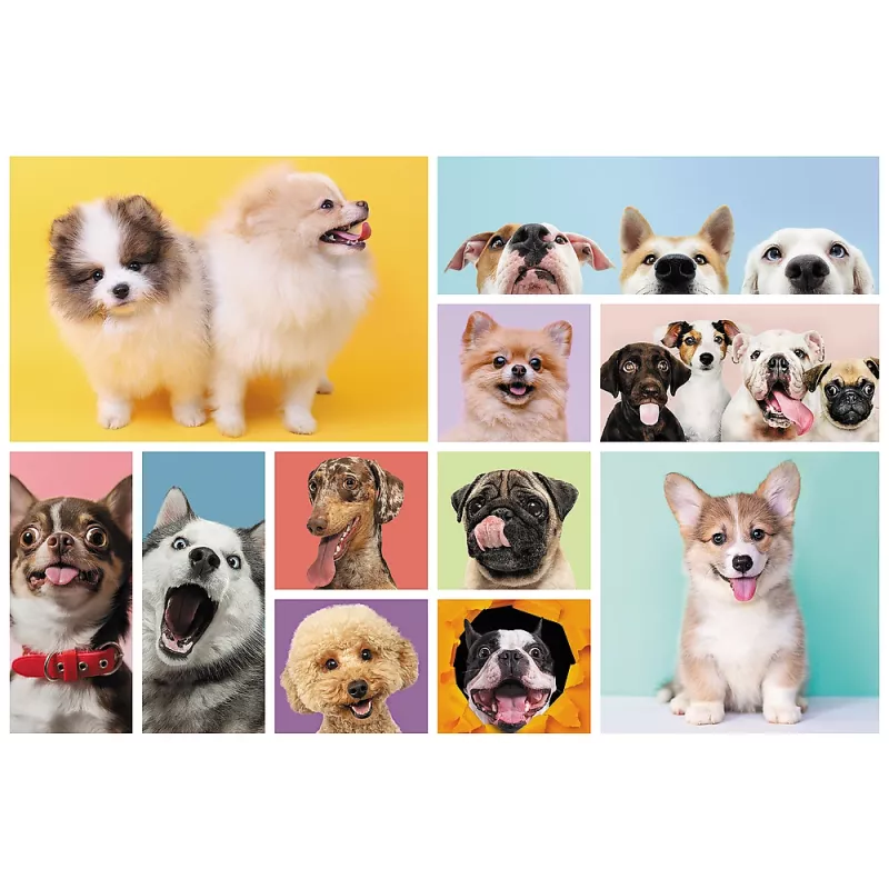 Puzzle TREFL 160 Dog Friendship Trefl 15412
