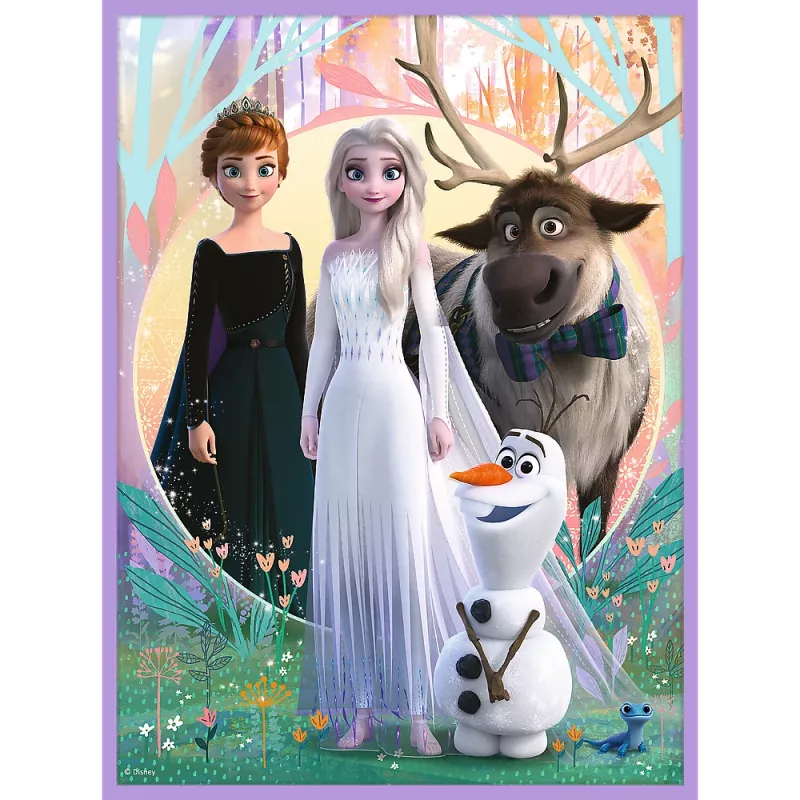TREFL PUZZLE Puzzle - 2 em 1 + Memos Princesses in Their Land - Disney Frozen 2 93335