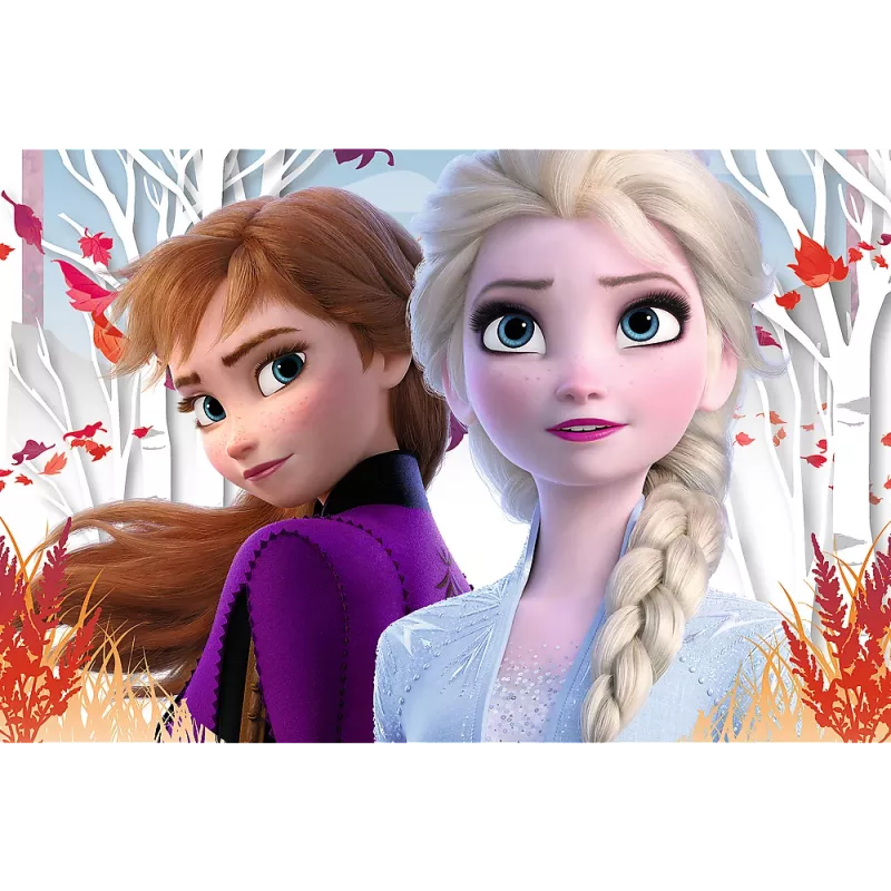 TREFL PUZZLE Puzzle 60 O mundo mágico de Anna e Elsa