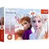 TREFL PUZZLE Puzzle 60 O mundo mágico de Anna e Elsa