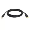 Tripp Eaton Tripp Lite Series cabo USB 2.0 A para B (M/M)