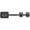 Turtle AV Turtle Adaptador Dante de entrada XLR analógica 2CH