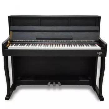 Piano digital V-TONE PLF-256 BK, preto