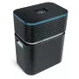 Humidificador de ar natural Venta AeroStyle LW74 WiFi 9L Preto 24W