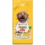Ração seca VERSELE-LAGA HappyLife com frango para cães adultos 12,5 kg