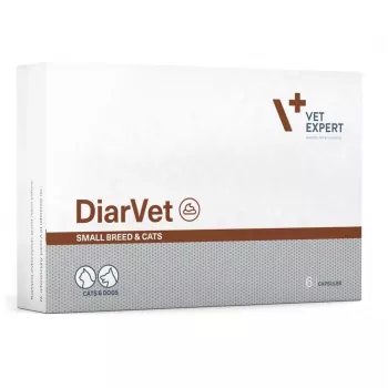 VetExpert Diarvet Small Breed and Cats 6 cápsulas