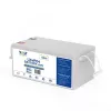 VOLT POLSKA Bateria LiFePO4 24V 120Ah 120A