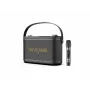 W-King H10S Altifalante Portátil Sem Fios, 100W RMS, Bluetooth 5.0, IPX6, Preto