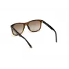 Óculos de sol de homem WEB EYEWEAR WE0279-5652G Havana verde 56/19/145 mm